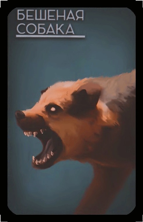 бешеная собака