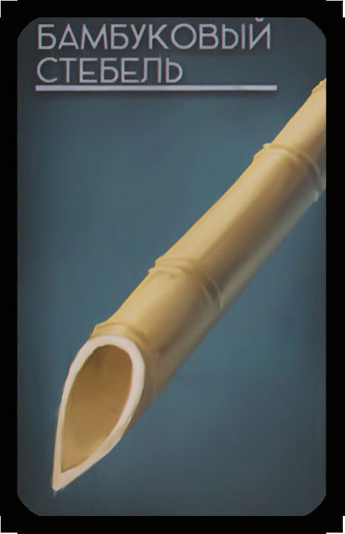 бамбуковый стебель