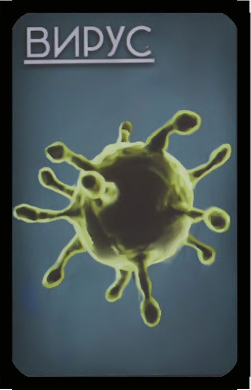 вирус